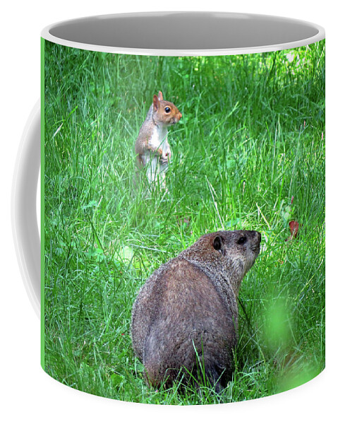 Groundhog Coffee Mug featuring the photograph Groundhog and Squirrel Chance Encounter by Linda Stern