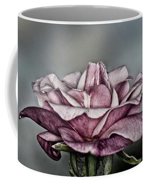 Rose Coffee Mug featuring the photograph Grungy Rose by Artful Imagery