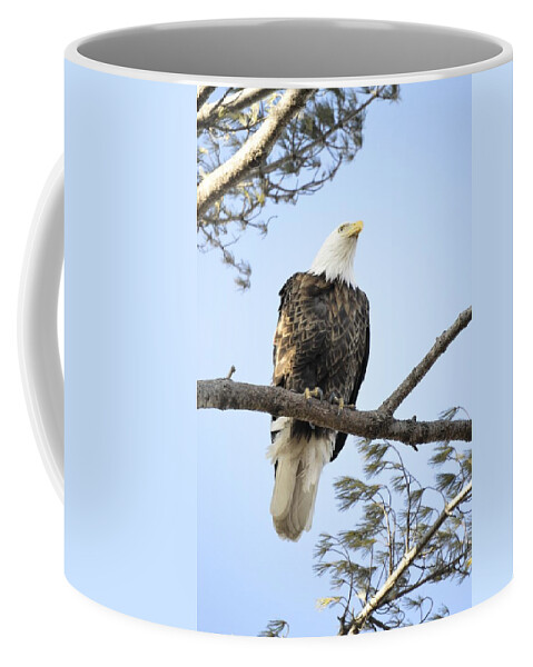 Curiousity Coffee Mug featuring the photograph Guardian Perch by Bonfire Photography