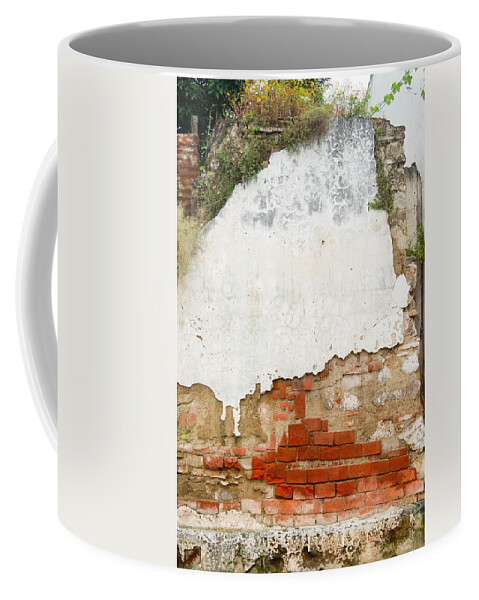 Guatemala Coffee Mug featuring the photograph Guatemalan Ancient Wall Antigua by Douglas Barnett