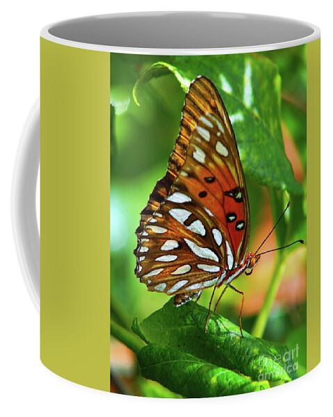 Butterfly Coffee Mug featuring the photograph Gulf Fritillary by Larry Nieland