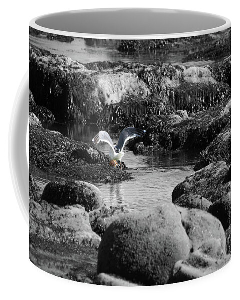 Gull Crab Coffee Mug featuring the photograph Gull Crab by Dylan Punke