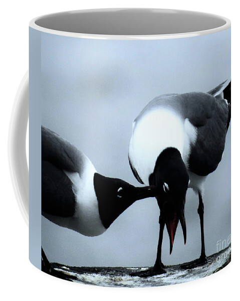 Gulls Coffee Mug featuring the photograph Gull Pecked by Jan Gelders