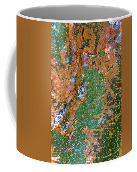 North Port Florida Coffee Mug featuring the photograph Gumbo Limbo Bark by Tom Singleton