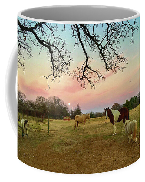 Horses Coffee Mug featuring the photograph Hacienda Paraiso by Doris Aguirre