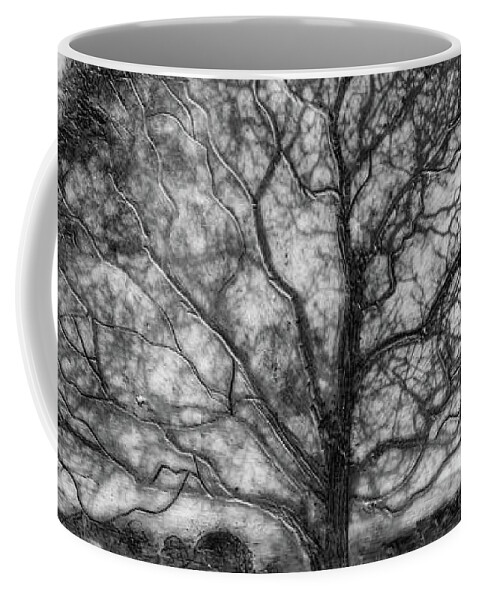 Trees Coffee Mug featuring the mixed media Hagley Tree 2 by Roseanne Jones