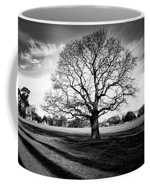 Tree Coffee Mug featuring the photograph Hagley Tree Landscape by Roseanne Jones