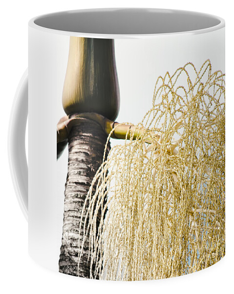 Palm Coffee Mug featuring the photograph Haiku Manuahi Palm Retro by Sharon Mau