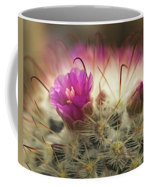 Cactus Coffee Mug featuring the photograph Handle with Care by Holly Ross