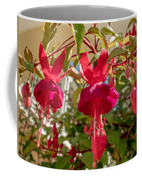 Flower Coffee Mug featuring the photograph Hanging Around by Derek Dean