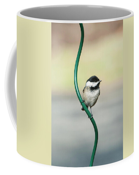 Oiseau Coffee Mug featuring the photograph Hanging around by Jean-Pierre Ducondi