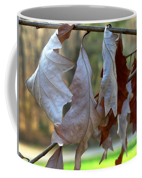 Leaves Coffee Mug featuring the photograph Hanging Leaves by Mafalda Cento