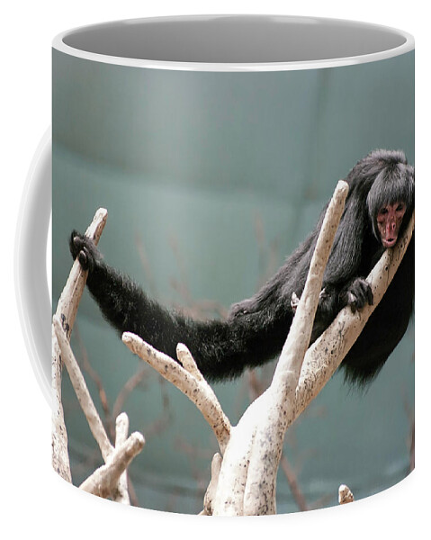 Photography Coffee Mug featuring the photograph Hanging Loose by Kathleen Messmer
