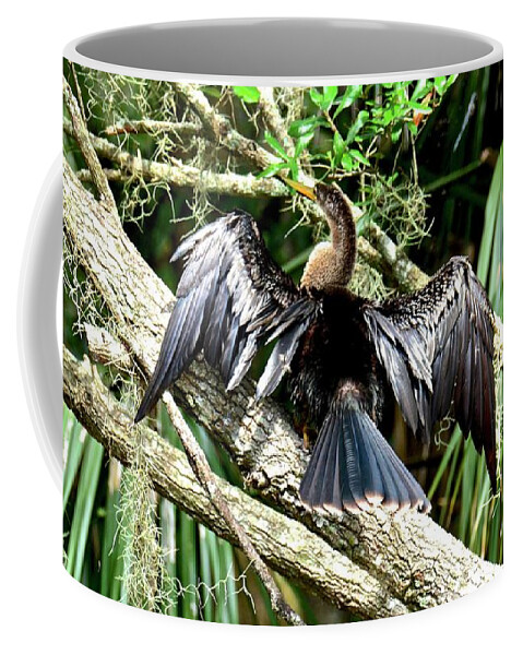 Anhinga Coffee Mug featuring the photograph Hanging Out to Dry by Carol Bradley