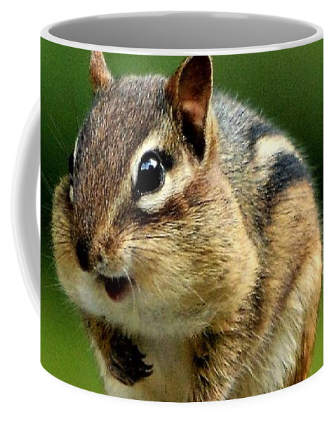Chipmunk Coffee Mug featuring the photograph Happily Surprised Chipmunk by Dani McEvoy