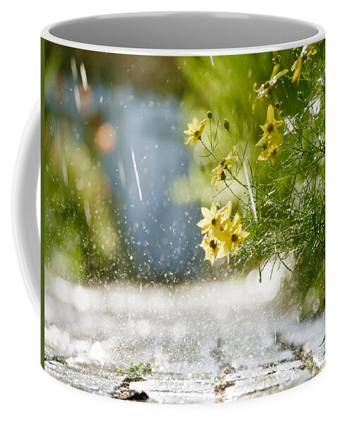 Flowers Coffee Mug featuring the photograph Sprinklers in June by Rachel Morrison