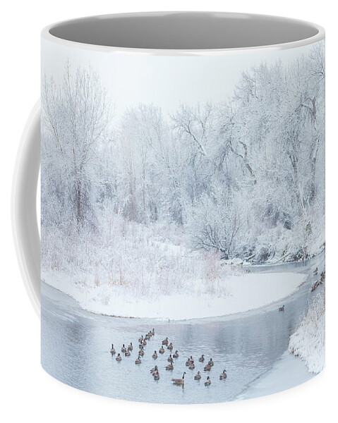Winter Coffee Mug featuring the photograph Happy Geese by Darren White