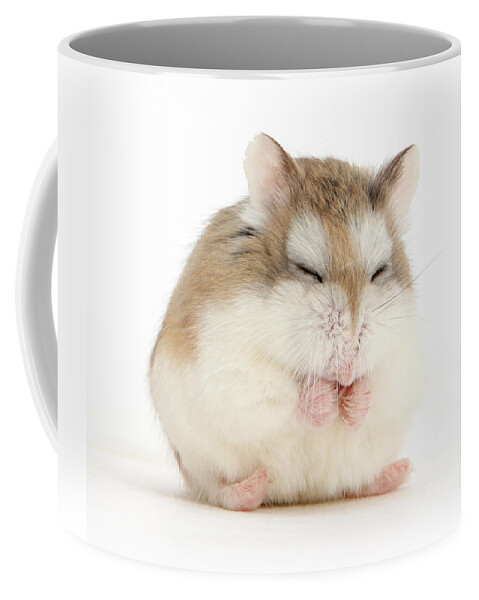 Roborovski Hamster Coffee Mug featuring the photograph Happy Hammy by Warren Photographic