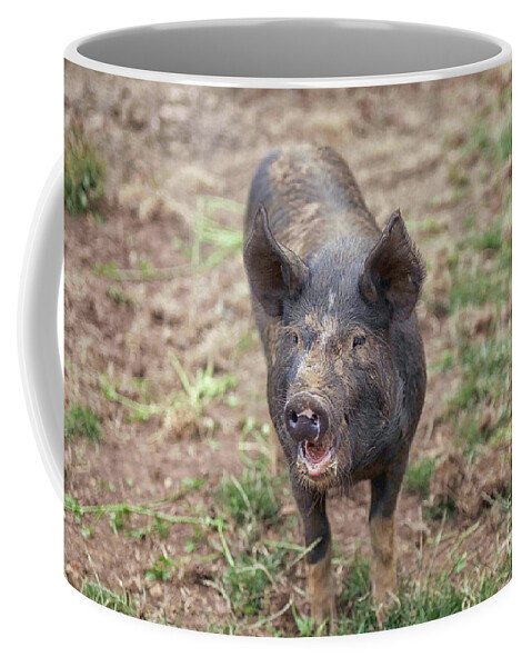 Free Coffee Mug featuring the photograph Happy piglet by Patricia Hofmeester