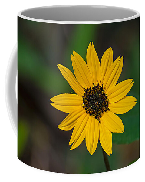 Nature Coffee Mug featuring the photograph Happy Sunflower by Kenneth Albin