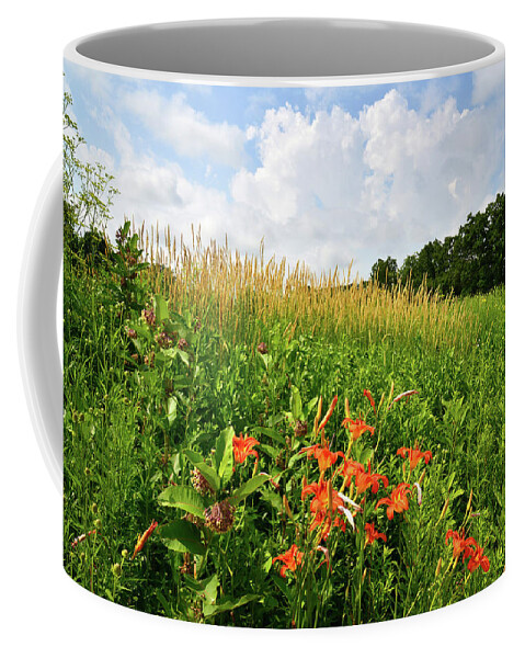 Black Eyed Susan Coffee Mug featuring the photograph Happy Valley by Ray Mathis