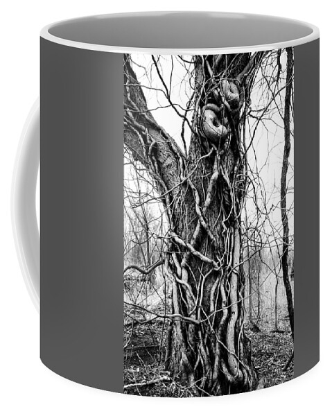 Nature Coffee Mug featuring the photograph Hard Embrace by Jeff Phillippi