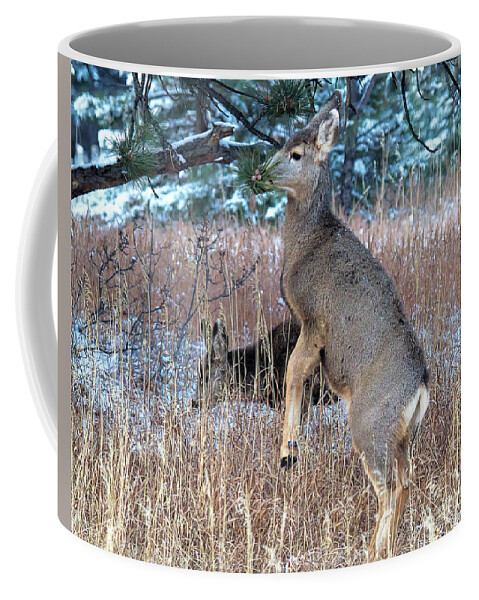 Deer Coffee Mug featuring the photograph Hard to Reach by Jim Garrison