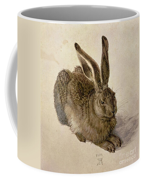 Hare Coffee Mug featuring the painting Hare by Albrecht Durer