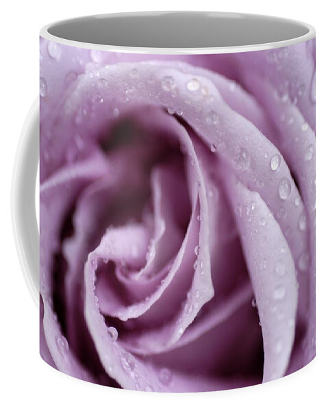 Rose Coffee Mug featuring the photograph Harmony by DArcy Evans