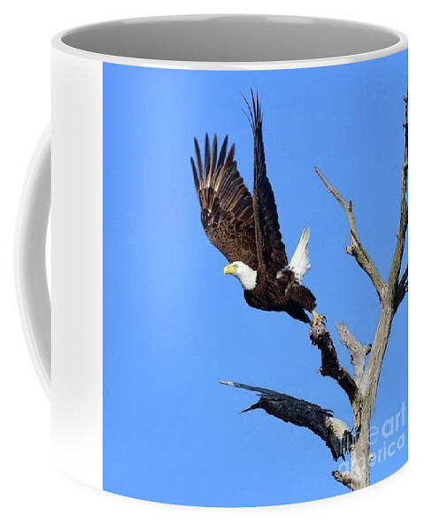 Birds Coffee Mug featuring the photograph Harriet majestic leaving by Liz Grindstaff
