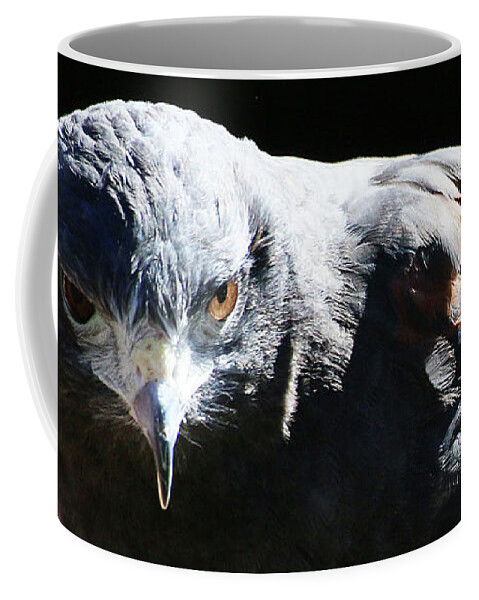Bird Coffee Mug featuring the photograph Harris Hawk Portrait by William Selander