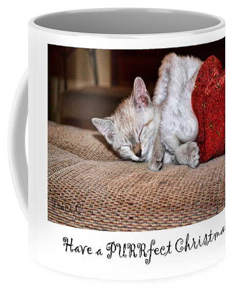 Christmas Coffee Mug featuring the photograph Have a Purrfect Christmas by Traci Cottingham