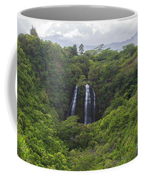 Kauai Coffee Mug featuring the photograph Hawaii 11 by Daniel Knighton
