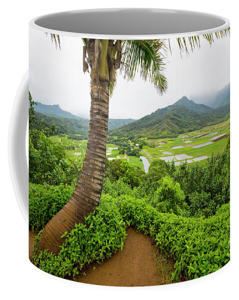 Kauai Coffee Mug featuring the photograph Hawaii 7 by Daniel Knighton