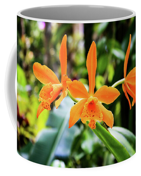 Orchid Coffee Mug featuring the photograph Hawaii Orchid 2 by Matt Sexton