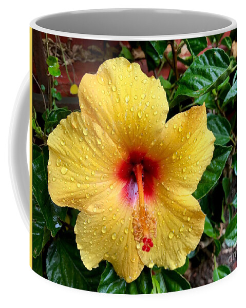 Photograph Coffee Mug featuring the photograph Hawaiian hibiscus by Wonju Hulse