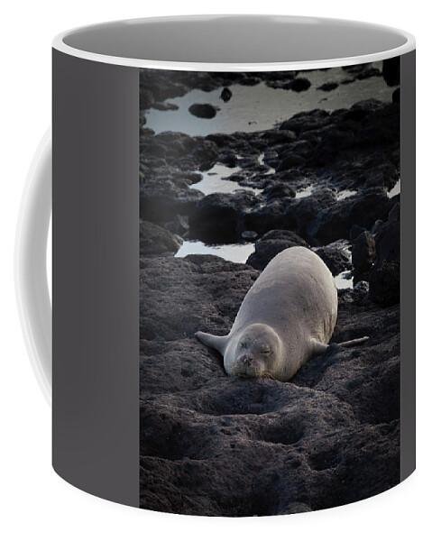 Hawaiian Coffee Mug featuring the photograph Hawaiian Monk Seal by Roger Mullenhour