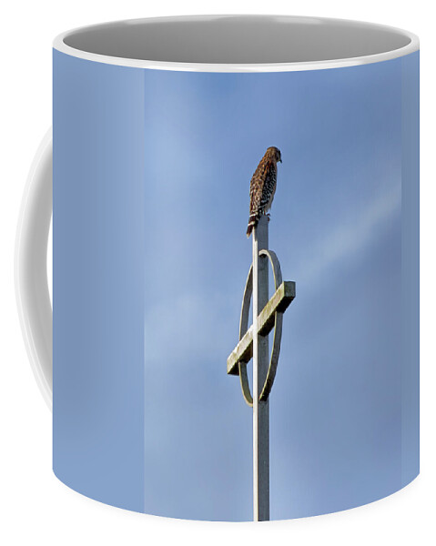 Birds Coffee Mug featuring the photograph Hawk on Steeple by Richard Rizzo