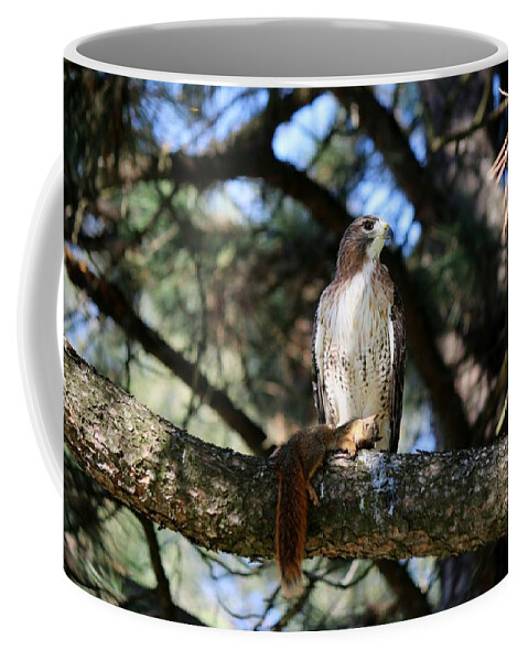 Hawk Coffee Mug featuring the photograph Hawk with squirrel by Christy Pooschke