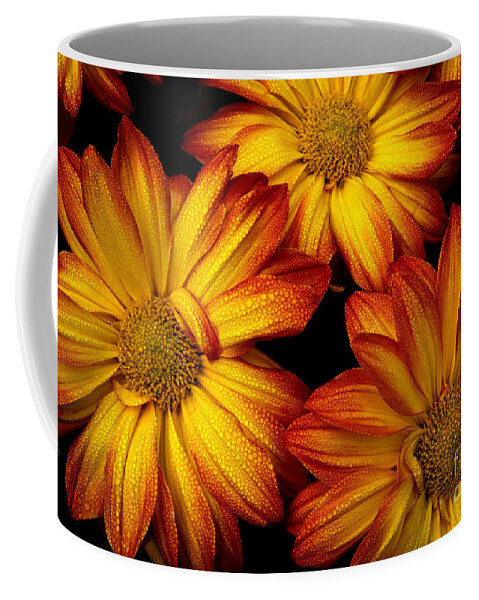 Flowers Coffee Mug featuring the photograph HDR Flowers by Douglas Stucky