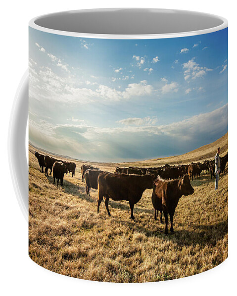 Black Angus Coffee Mug featuring the photograph Head of the Herd by Todd Klassy