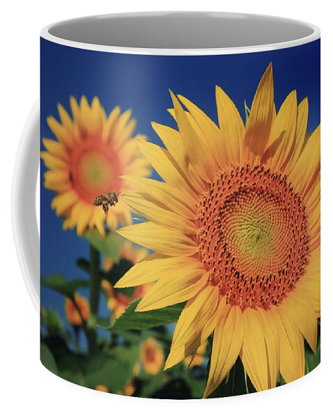 Grinter Coffee Mug featuring the photograph Heading for Gold by Chris Berry