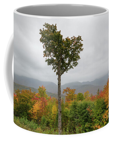Autumn Coffee Mug featuring the photograph Heart Tree - Kancamagus Highway, New Hampshire by Erin Paul Donovan