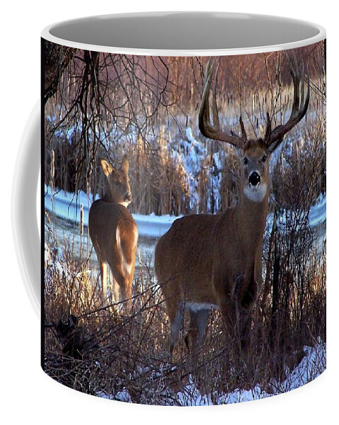 Deer Coffee Mug featuring the digital art Heartbeat Of The Wild by Bill Stephens