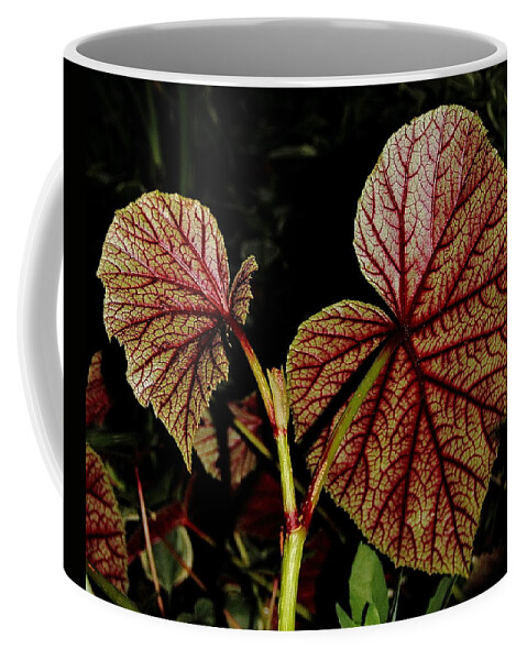 Begonia Coffee Mug featuring the photograph Hearty Begonia Backside by Allen Nice-Webb