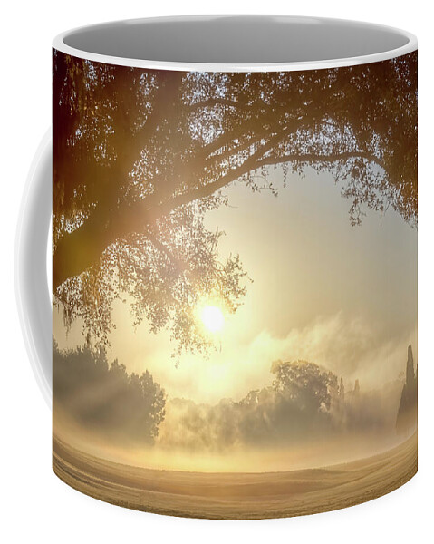 Sunrise Coffee Mug featuring the photograph Heavenly Arch Sunrise by Ronald Kotinsky