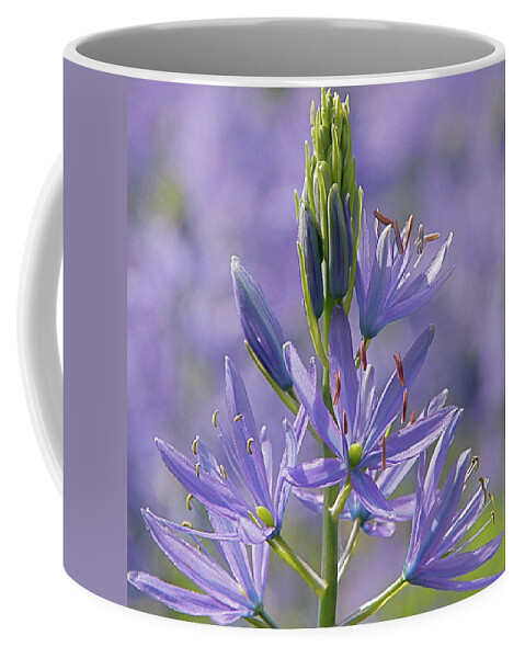 Floral Coffee Mug featuring the photograph Heavenly Blue Camassia by Byron Varvarigos