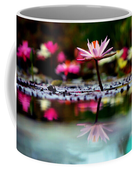 Flower Coffee Mug featuring the photograph Heaven's Masterpiece by Melanie Moraga
