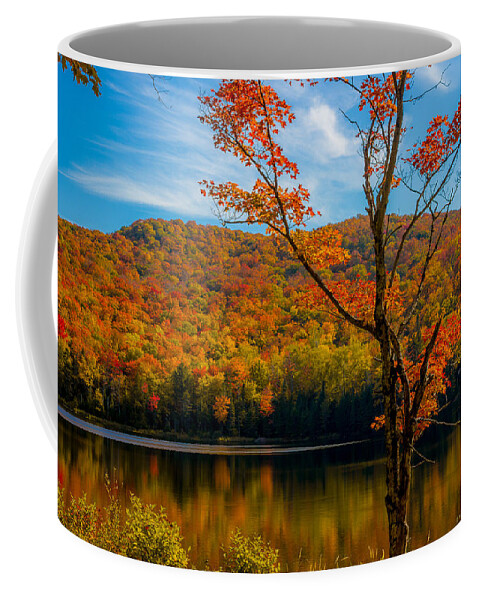Maple Tree Coffee Mug featuring the photograph Heights of Autumn by Tim Kirchoff