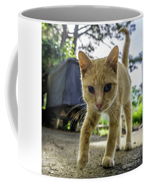 136a Coffee Mug featuring the photograph Hello Beautiful 136a by Ricardos Creations